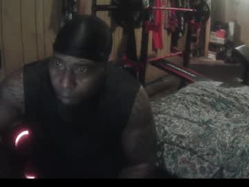 bussitdown 313
